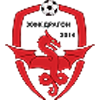 2014斯科普里女足logo