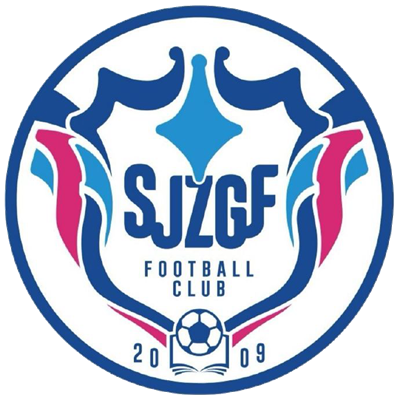 石家庄功夫logo