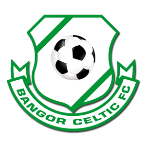 宾高凯尔特logo
