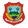 潘尼皮瑞亚logo